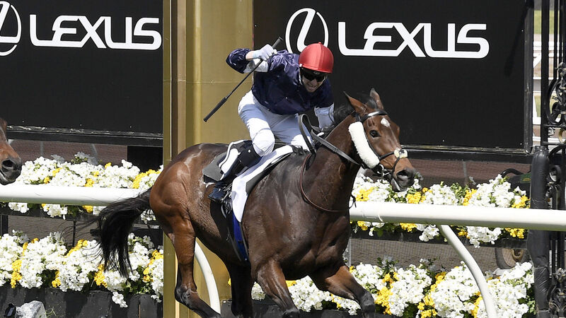 Twilight Payment wins the Melbourne Cup for Joseph O'Brien, but race marred by the death of Anthony Van Dyck Twilight Payment wins the Melbourne Cup for Joseph O'Brien, but race marred by the death of Anthony Van Dyck