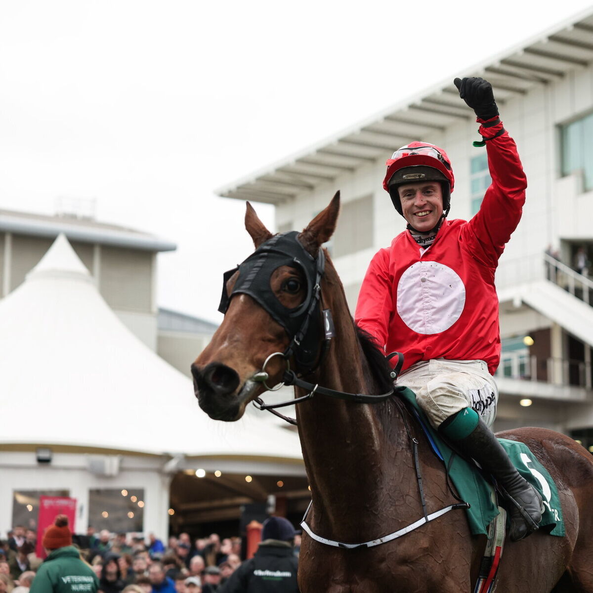 Home By The Lee delivers at 33-1 in stunning Cheltenham success for  Cork-owned horse