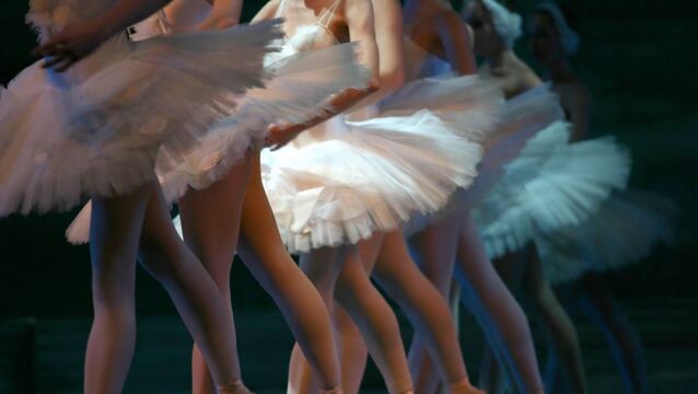 <p>Swan Lake is at the Cork Opera House on Sunday. </p>