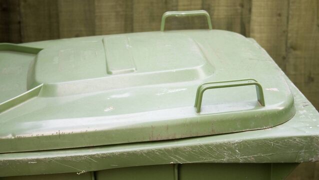 <p>udge Dogan said she would deal with the offence by imposing a six-month probation bond.</p>