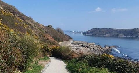 Community at Cork's Graball Bay 'fear for their safety', court is told