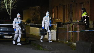 <p> Garda crime scene investigators enter a house at Innishmore Park, Ballincollig Cork on Friday night. Picture: Larry Cummins</p>