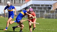 Late Tipp point denies Cork at Páirc Uí Rinn in camogie league