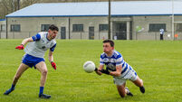 Division 1 FL: Brian Hurley helps Castlehaven to narrow win over Knocknagree