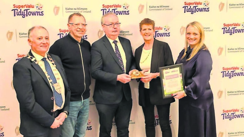 Cork city Tidy Towns team receive silver medal at regional awards