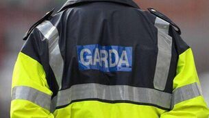 <p>Gardaí are appealing for witnesses to come forward, particularly taxi drivers and motorists who were in the area at the time.</p>