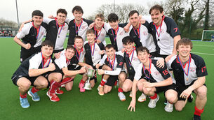 <p>Harlequins players celebrates the win over Catholic Institute in the Mens Munster Senior Cup final at Garryduff. Picture: Eddie O'Hare</p>