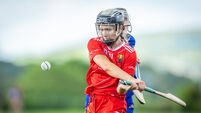 Cork hope to end camogie league on a high in Galway and ease relegation fears