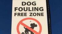 Councillor says Cork council should get its sh*t together over 'shock' dog poo poster