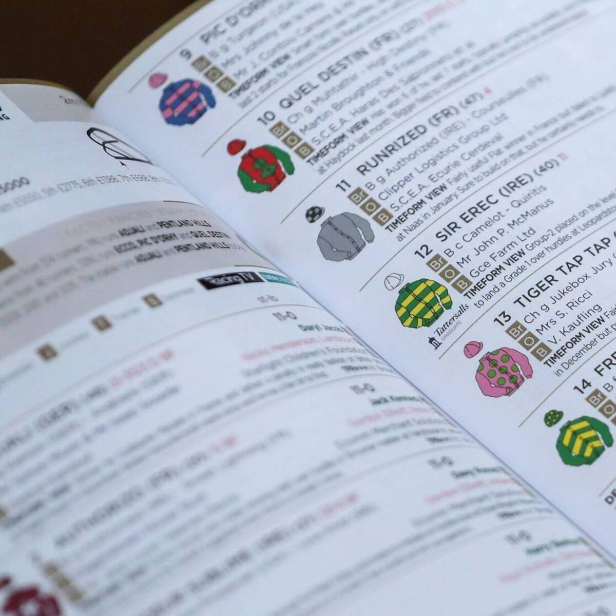 echolive.ie - Cork racing tipster publishing allegedly defamatory articles, businessman tells court