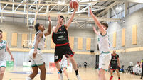 Balanced Ballincollig basketballers seal home Super League semi-final against Limerick Celtics
