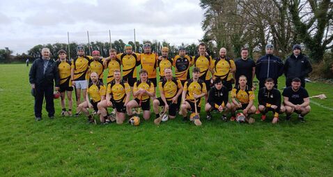 Pucking great - Rochestown return to hurling