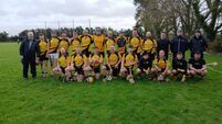 Pucking great - Rochestown return to hurling
