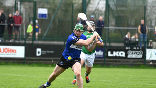 <p> Shane O'Regan blasts in a second-half goal for Sars in the RedFM Division 1 clash with Killeagh. Picture: Larry Cummins</p> <p> Shane O'Regan blasts in a second-half goal for Sars in the RedFM Division 1 clash with Killeagh. Picture: Larry Cummins</p>