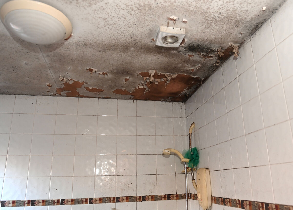 The ceiling of the wheelchair-accessible ‘wetroom’ is covered in mould. The ceiling of the wheelchair-accessible ‘wetroom’ is covered in mould.