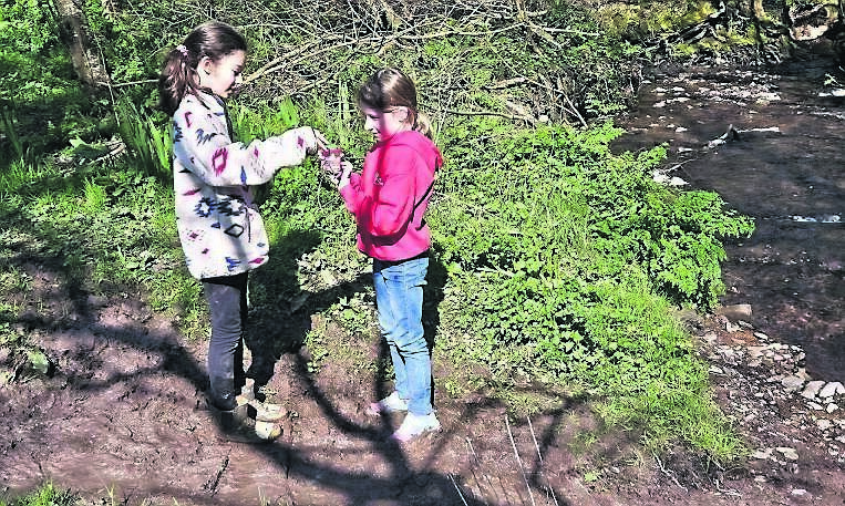 Two young Douglas Tidy Towns volunteers, Rebecca and Grace, check out their water sample from the nearby stream at Doman’s Wood.