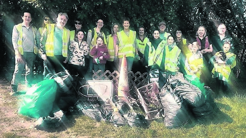 Biodiversity of 'magical' Cork city woodland ecological corridor highlighted 