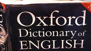<p>12 Irish-isms have entered the dictionary, with going on your ‘holliers’, being in the ‘nip’ and calling someone a ‘skanger’ included.</p>