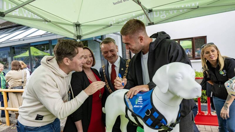 Decorate a dog sculpture for Cork ‘City of Tails’ event