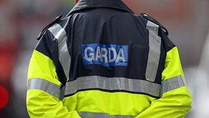 Gardaí arrest nine people as part of money laundering investigations