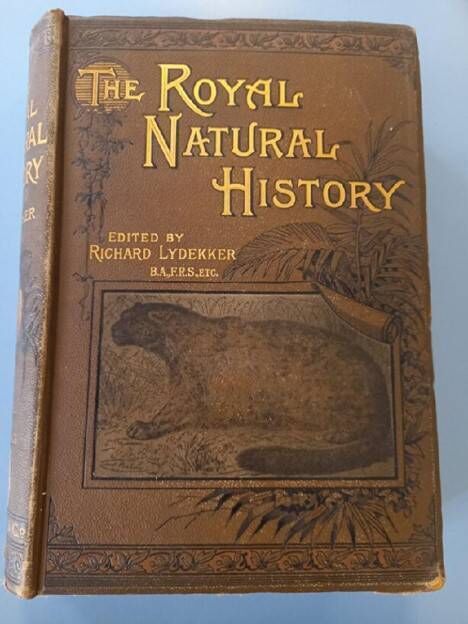 George D. Croker of Waterford donated beautiful volumes of The Royal Natural History and also donated a book to the juvenile collection. 