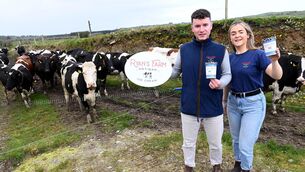 <p>Brother and sister Aidan and Megan Ryan produce Ryan's Farm Artisan Ice Cream on the family farm at Ballinascarty in West Cork. Picture: Larry Cummins</p> <p>Brother and sister Aidan and Megan Ryan produce Ryan's Farm Artisan Ice Cream on the family farm at Ballinascarty in West Cork. Picture: Larry Cummins</p>