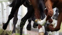 Horse Racing - May Festival - totesport Cup Day - Chester Racecourse