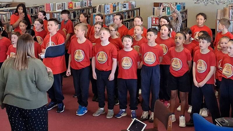 Lifelong Learning Festival brings events to Cork's Mayfield library