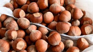 <p class="contextmenu internal_Caption">Áilín Quinlan discovered that you can eat nuts for years without effect, and then develop an allergic reaction later in life</p> <p class="contextmenu internal_Caption">Áilín Quinlan discovered that you can eat nuts for years without effect, and then develop an allergic reaction later in life</p>