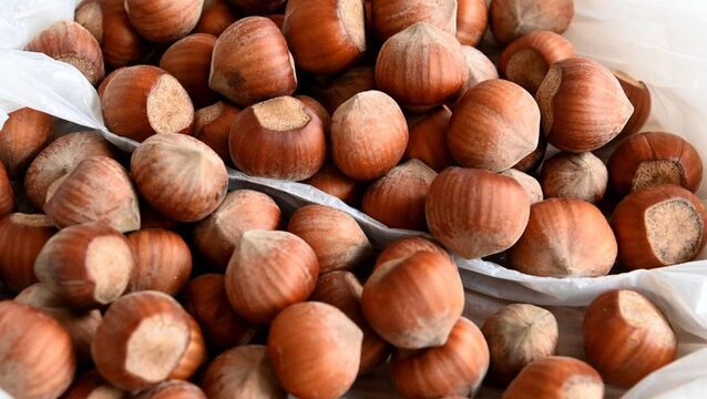 <p class="contextmenu internal_Caption">Áilín Quinlan discovered that you can eat nuts for years without effect, and then develop an allergic reaction later in life</p>