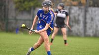 Cork U23 camogie team get off to a great start in their All-Ireland campaign with victory over Galway