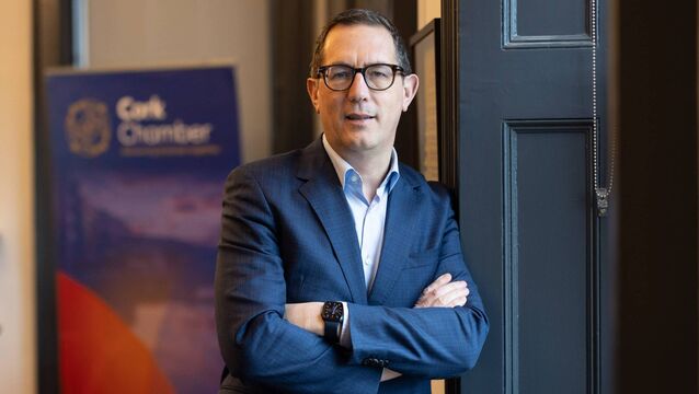 <p>Mr Healy, above, will be joined by Ms Brigid McManus, who will chair the board, as well as Joanne Somers, AJ Noonan, and Ellen Roche. Picture: Darragh Kane.</p>