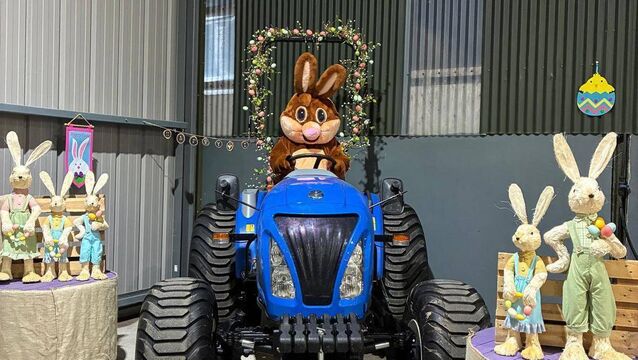 <p>For the second year, Joe’s Farm in Killeagh will host a special Easter trail over the break.</p>