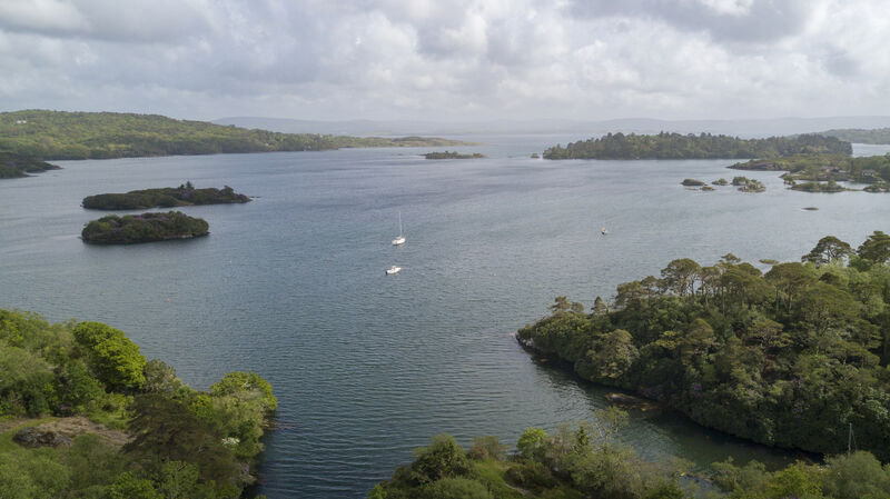 Bantry Bay in West Cork. Boat tours are a popular way to see the area. Picture: Dan Linehan