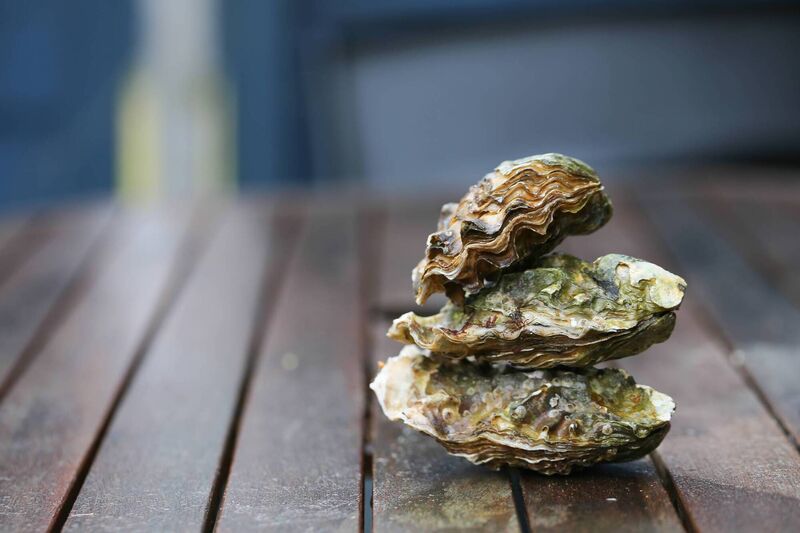 There are a number of opportunities for oyster tasting in Cork. Picture: iStock