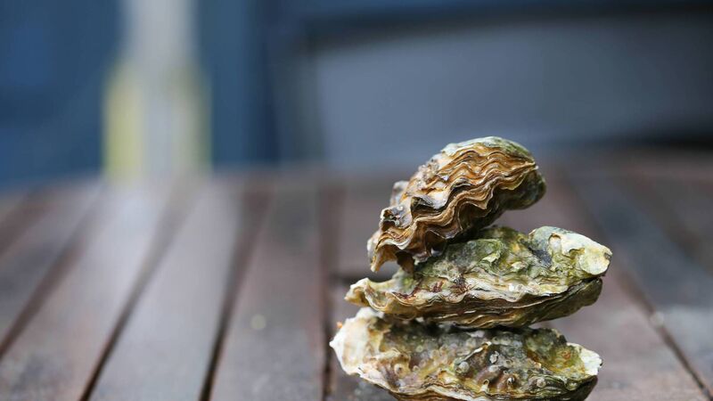 Top picks for a coastal adventure in Cork...plus, must-visit fishy dining venues 