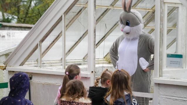 <p>Children can meet the Easter bunny at Fota House at the weekend. </p>