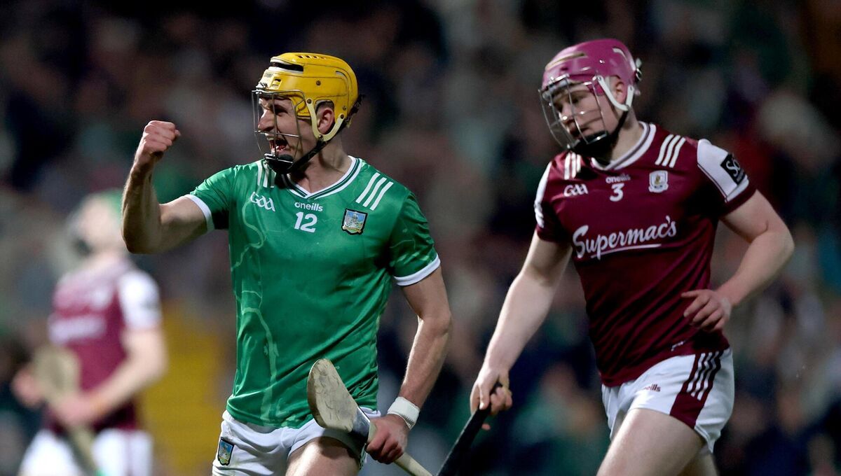 Limerick’s Cathal O'Neill celebrates scoring his sides first goal against Galway. Picture: INPHO/James Crombie