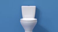 White toilet bowl with lid open on blue background