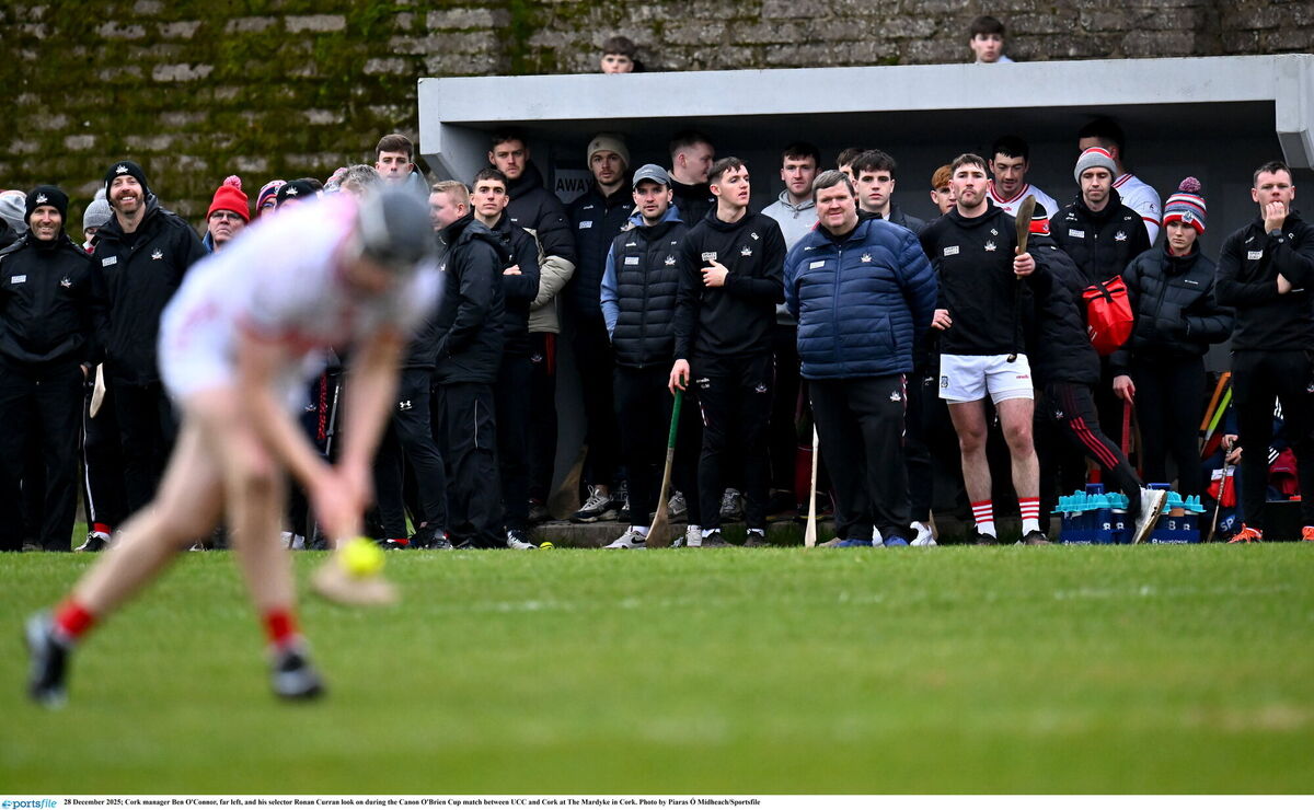The Cork bench watch on as Jack Cahalane takes a free during the Canon O'Brien Cup game against UCC at the Mardyke in December. Picture: Piaras Ó Mídheach/Sportsfile