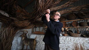 One of Ireland’s best-loved children’s stories brought to life at Tyrone museum One of Ireland’s best-loved children’s stories brought to life at Tyrone museum