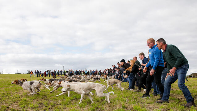 <p>Picture: David Creedon</p>