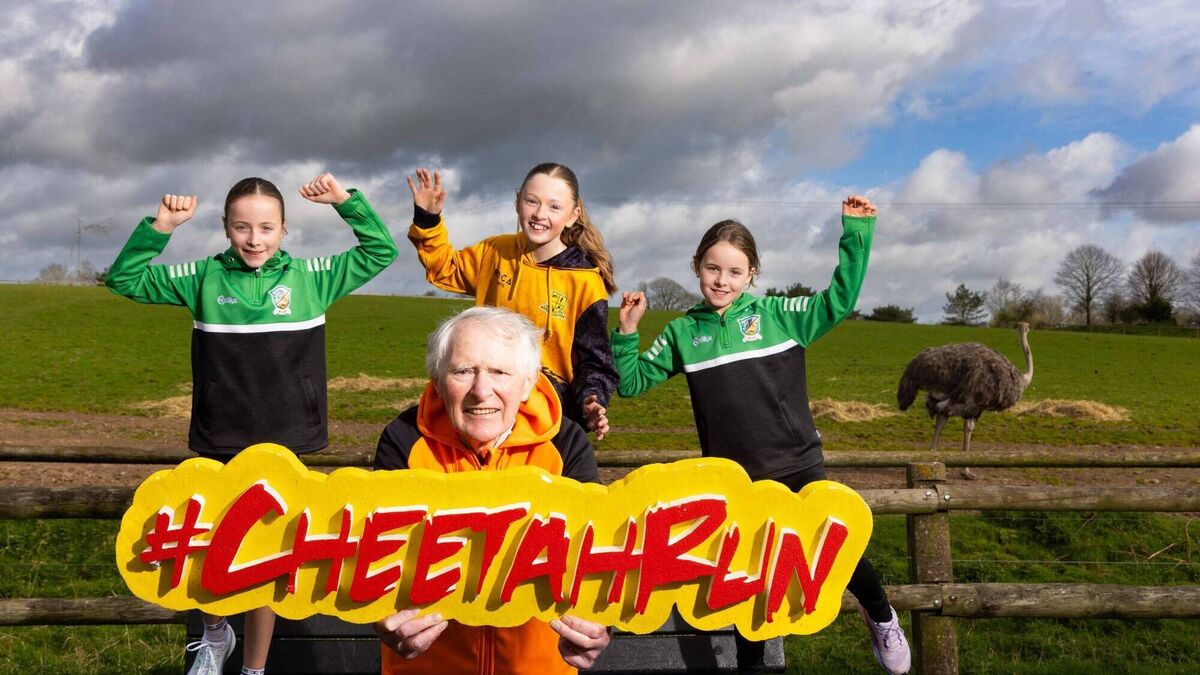 Cork's famous Cheetah Run to take place next month