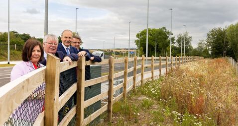 Plans lodged for 452 homes in Cork town