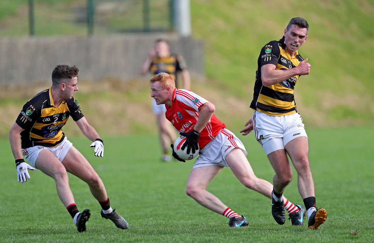  Beara's Seán Terry O'Sullivan in action against Avondhu in 2022. Picture: Jim Coughlan