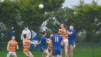 FL Division 1: Newcestown battle back to earn draw with St Finbarr's