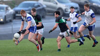 FL Division 1: Knocknagree move into tie for second after win over Nemo Rangers