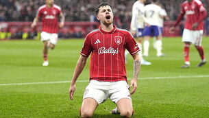 Nottingham Forest take valuable point in battle to beat the drop Nottingham Forest take valuable point in battle to beat the drop