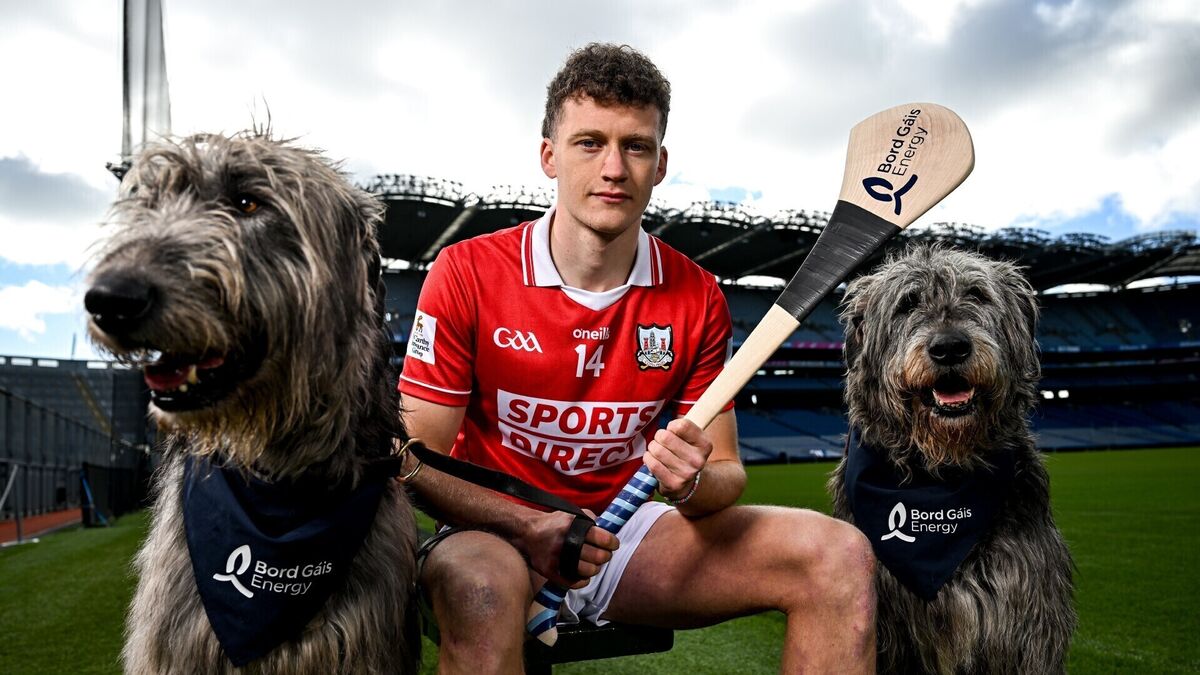 No need to hound Alan Connolly for showing some belief