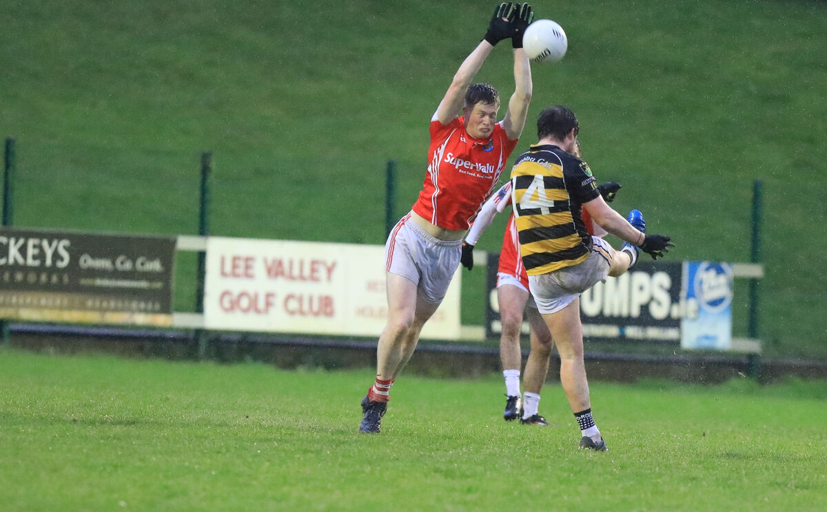 Beara's Michael O'Shea tries to block a shot from Avondhu's Conor Hanlon. Picture: David Creedon